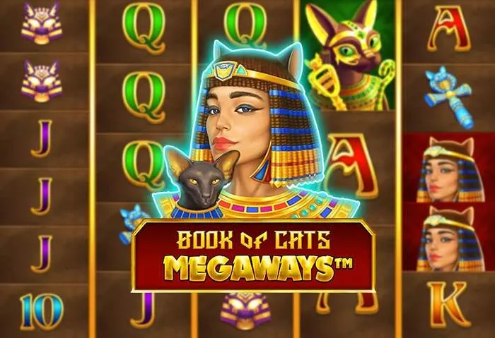 Lee nuestra Reseña de Lucky Pari Casino.
